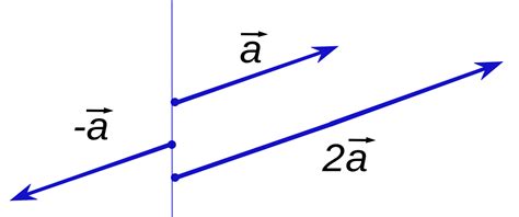 File:Scalar multiplication of vectors2.svg   Wikimedia Commons