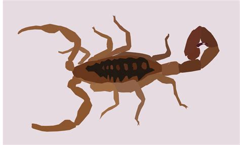 File:Scorpion.svg   Wikipedia