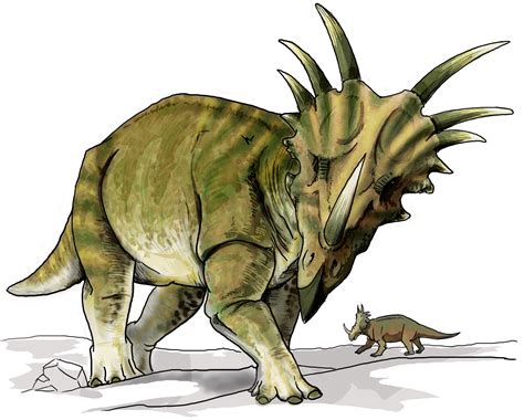 File:Styracosaurus dinosaur.png   Wikipedia