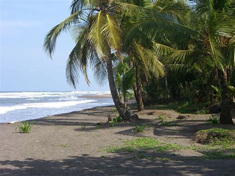 File:The beach at Tortuguero, Costa Rica.jpg   Wikimedia ...