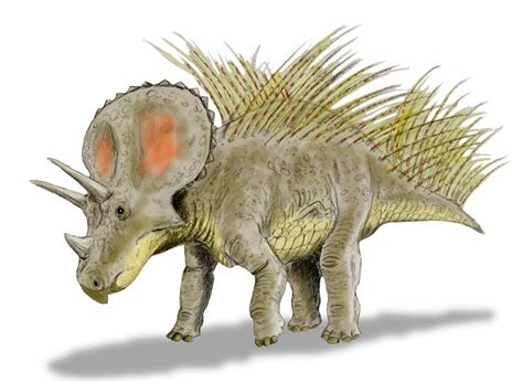 File:Triceratops new BW.jpg   Wikimedia Commons