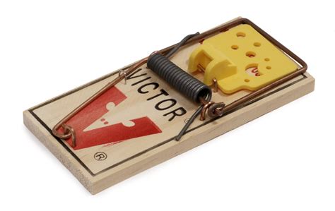 File:Victor Mousetrap.jpg   Wikimedia Commons