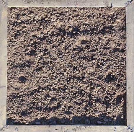 Fill Dirt   Screened | Buy Bulk Mulch, Dirt, Topsoil ...