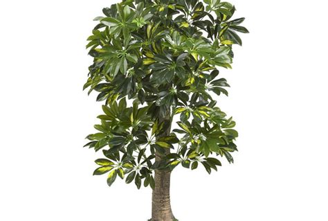 find cheap artificial plants   fiverr