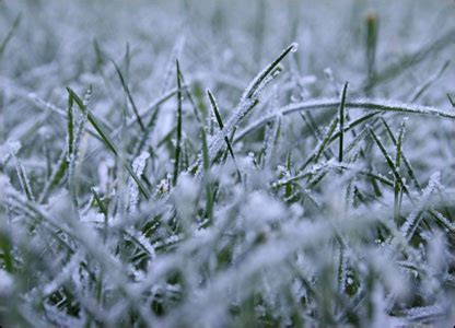 First Frost of the Season Tonight? | Forecasting Kitsap