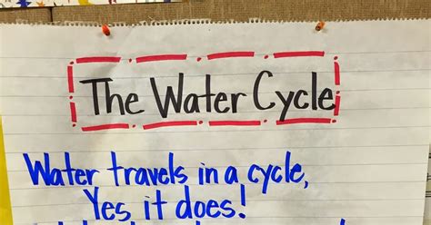 First Grade Fanatics: Water Cycle
