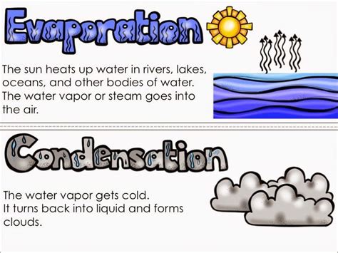 First Grade Fanatics: Water Cycle Vocabulary Cards ...
