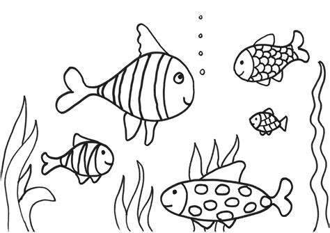 Fish Coloring Pages   Dr. Odd