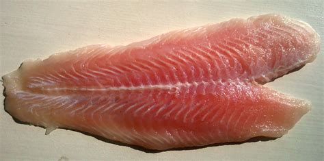 Fish fillet   Wikipedia