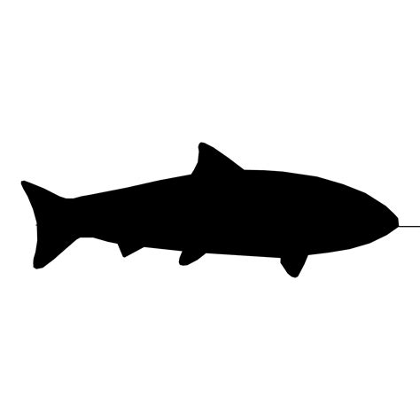 Fish Silhouette Free Stock Photo Public Domain Pictures
