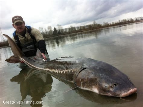 Fishing Report – Vancouver & Fraser Valley 04 04 13 ...