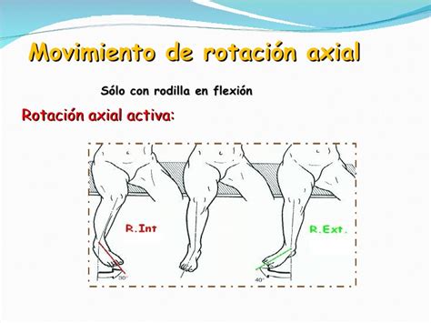 Fisiologia Rodilla