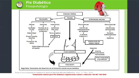 Fisiopatologia del Pie Diabetico   YouTube