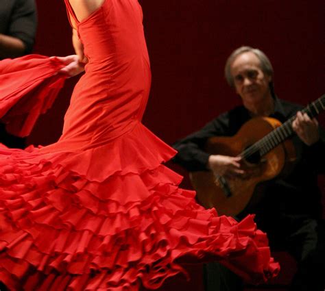Flamenco Wallpapers Wallpaper Cave