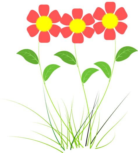 Fleur Rose Plantes Dessin · Image gratuite sur Pixabay