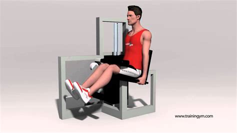 Flexión de rodilla sentado en máquina   YouTube