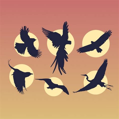 Fliegende Vögel Silhouetten | Download der kostenlosen Vektor