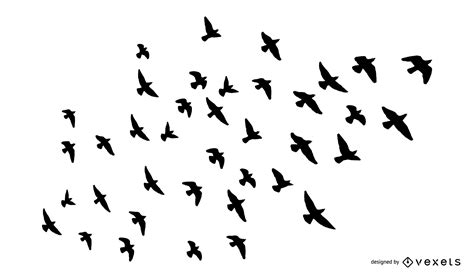 Flock of birds silhouette set   Vector download