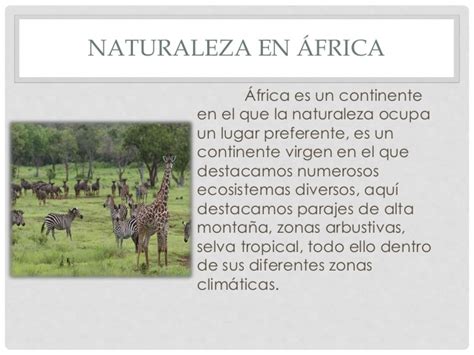 Flora y fauna en áfrica
