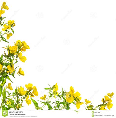 Floral Corner Borders | Yellow Flowers Floral Corner Frame ...