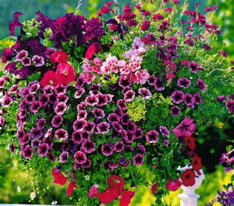 Flores bonitas que no deben faltar en el jardín