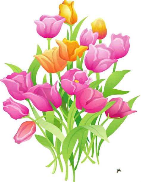 Flores de Primavera, flores, ramos de flores, tulipán ...