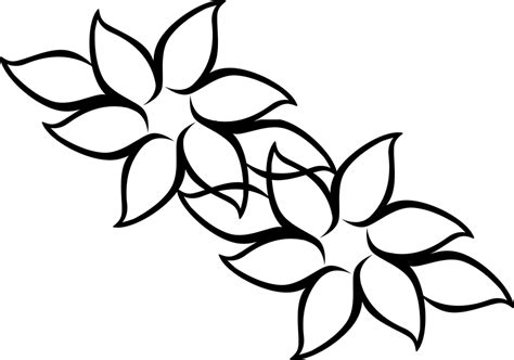 Flores Dibujo Florales · Gráficos vectoriales gratis en ...