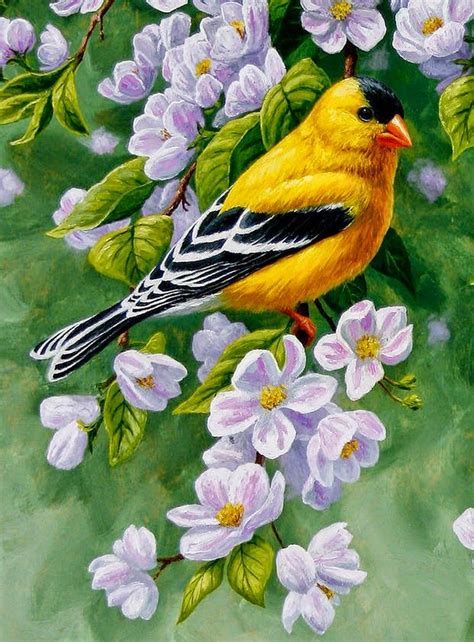 flores y pajaros cuadros pintados con oleo | aves ...