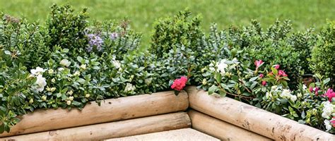 Flores y plantas para los jardines de tu hogar ...
