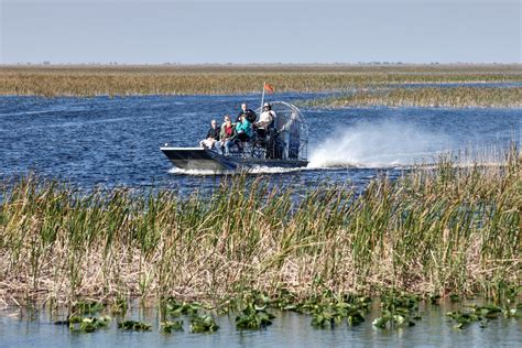 Florida Everglades: Your Guide to Everglades Airbout Tours