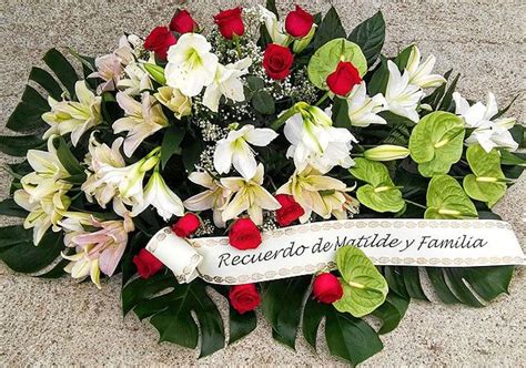 Floristerías en Zamora | Envío de Flores | Flores para Boda