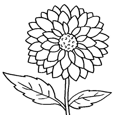 Flower Coloring Pages   coloringsuite.com
