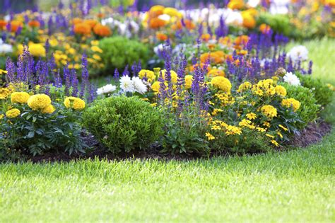 Flower Gardening: How To Start A Flower Garden