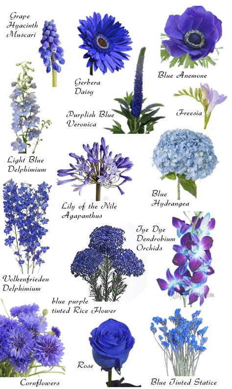 Flower names by Color | Hayley s Wedding Tips 101