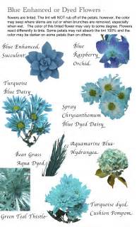 Flower names by Color | Hayley s Wedding Tips 101