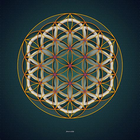 flower of life by NEDxfullMOon on DeviantArt
