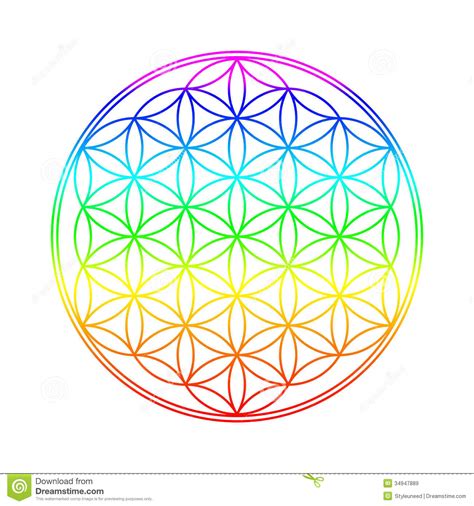 Flower Of Life   Download From Over 46 Million High ...