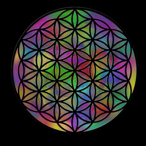 Flower Of Life Free Stock Photo   Public Domain Pictures