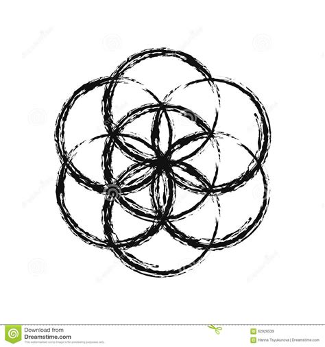 Flower Of Life, Vector. Stock Vector   Image: 62926539