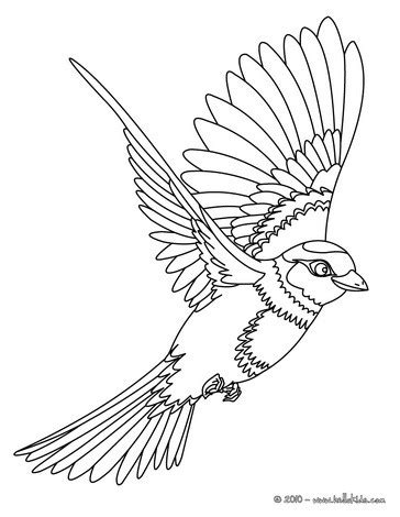 Flying bird coloring pages   Hellokids.com