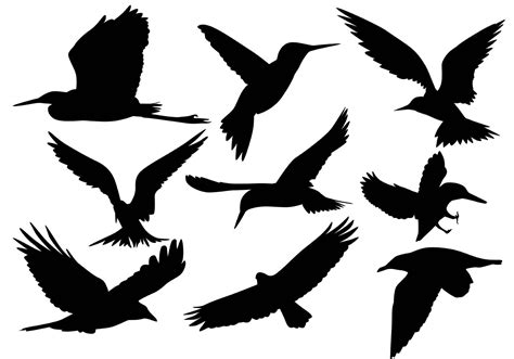 Flying Bird Silhouette Vectors   Download Free Vector Art ...