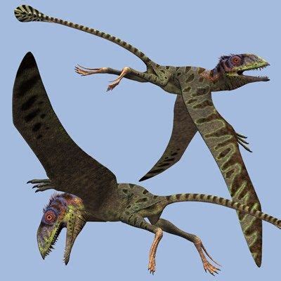 Flying Dinosaurs   Petinosaurus | ANIMALS: Prehistoric ...