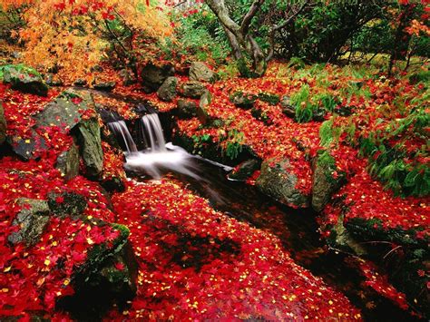 FONDITOS: Cascadas de otoño   Paisajes, Otoño