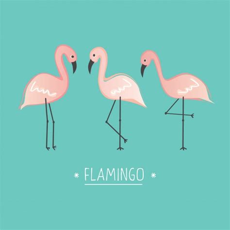 Fondo de flamencos a color | Descargar Vectores gratis