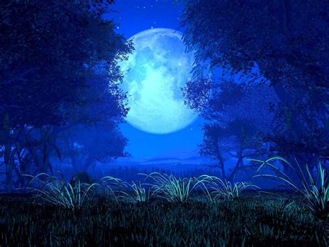 Fondo pantalla Paisaje Luna Llena | noche y estrellas ...
