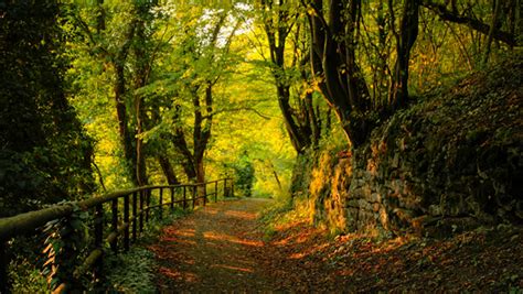 Fondos de pantalla relajantes HD   Imagui