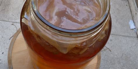Foods We Wanted To Hate, But Accidentally Love: Kombucha ...