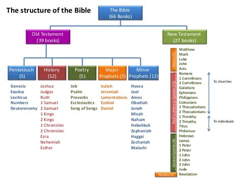 For Teenagers: Books of the Bible Overview