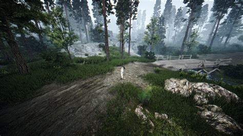 Forest   MMORPG.com Black Desert Online Galleries