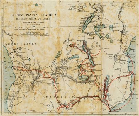 Forest Plateau of Africa Map   Africa • mappery